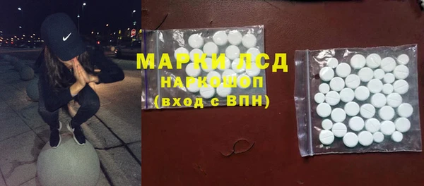 СК Волоколамск
