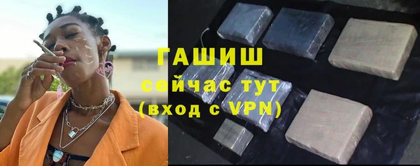 СК Волоколамск