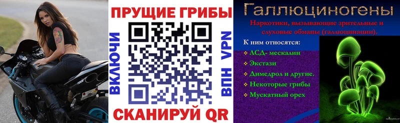 Купить  Горно-Алтайск  Псилоцибиновые грибы GOLDEN TEACHER 
